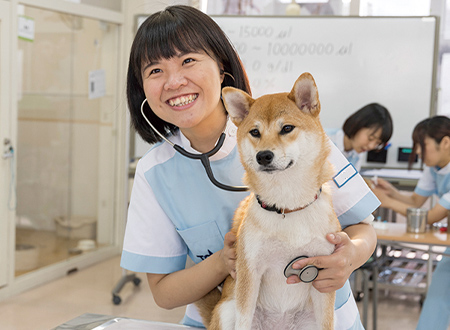愛玩動物看護師体験