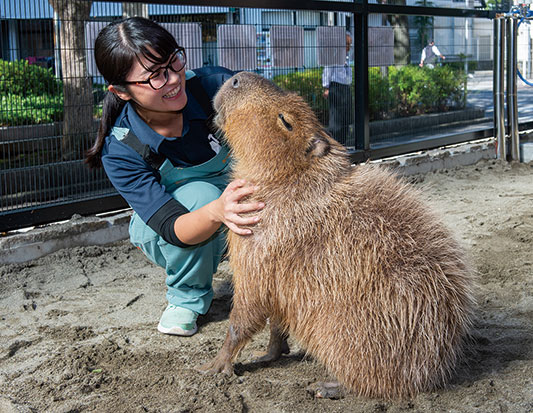 動物・海洋・ペット・環境