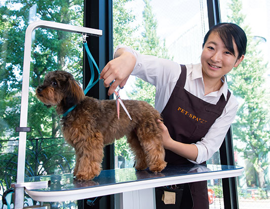 動物・海洋・ペット・環境